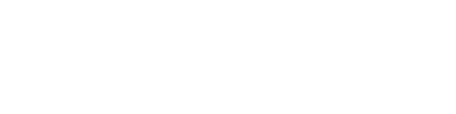 DILIJOB LOGO blanc